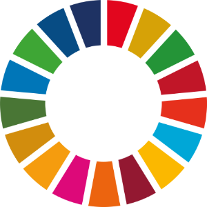 SDG Rad - bunte Farben im Kreis